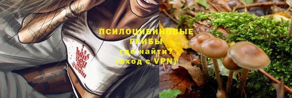 амф Алексеевка