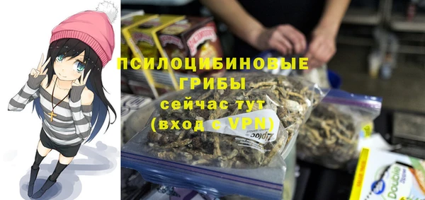 сатива Алзамай